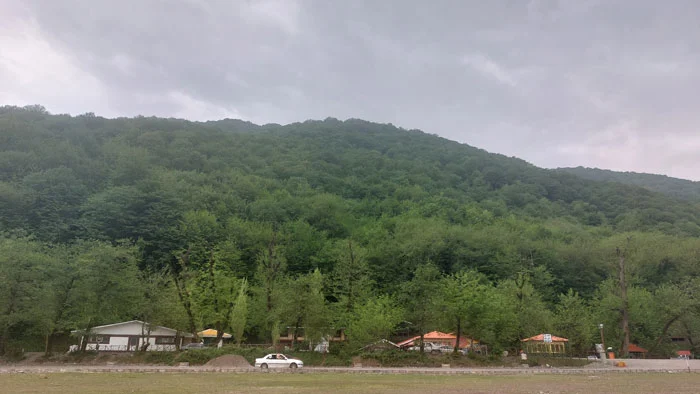 پارک جنگلی درنیکا 1