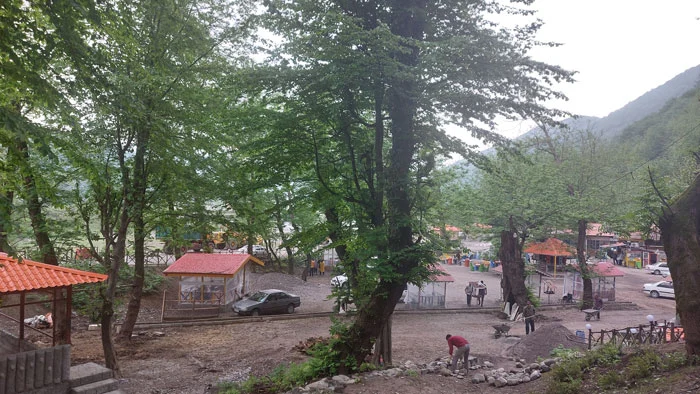 پارک جنگلی درنیکا