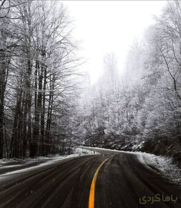 جاده دیلمان در زمستان