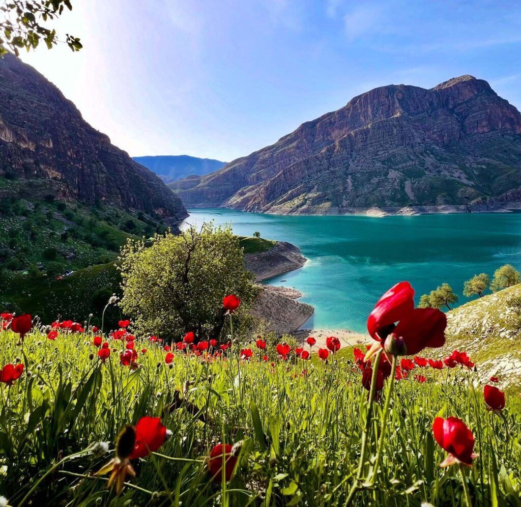 دشت سوسن ایذه خوزستان